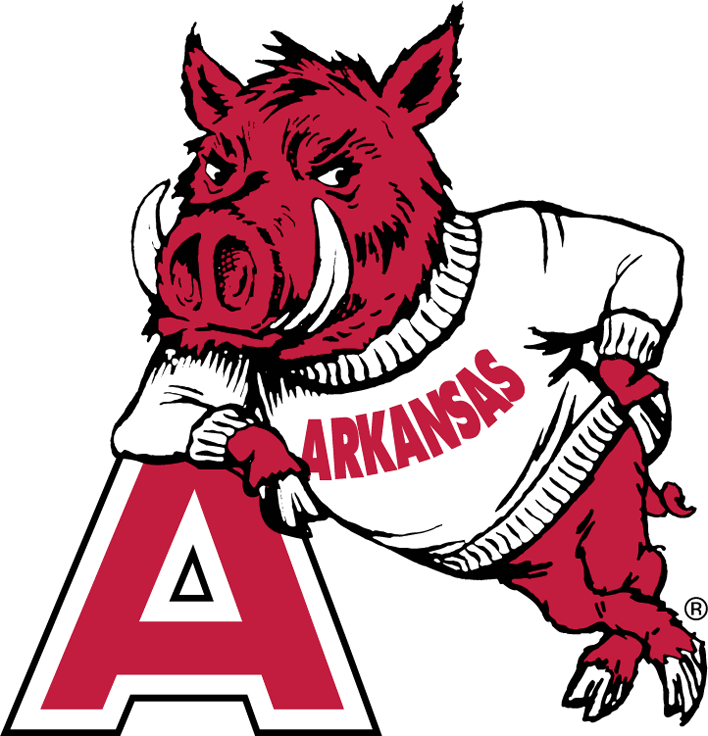 Arkansas Razorbacks 1951-1962 Primary Logo diy fabric transfer...